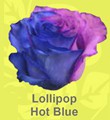 Lollipop_Hot_Blue