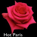 Hot-Paris